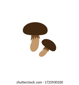 Mushroom vector icon, mushroom cap, fungus icon