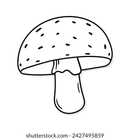 Mushroom vector icon in doodle style. Symbol in simple design. Cartoon object hand drawn isolated on white background.