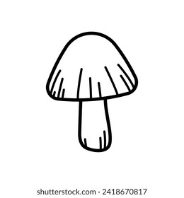 Mushroom vector icon. food illustration sign. fungus symbol or logo.