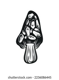 mushroom vector icon isolated design