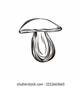 Mushroom vector icon logo for vegetable assets, nature, educations, print, and more