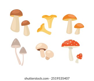 Conjunto de ícones vetoriais de cogumelos. Cogumelos porcini, chanterelle, champignon e amanita isolados sobre fundo branco.