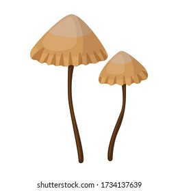 Mushroom vector icon.Cartoon vector icon isolated on white background mushroom.