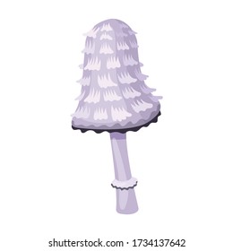 Mushroom vector icon.Cartoon vector icon isolated on white background mushroom.