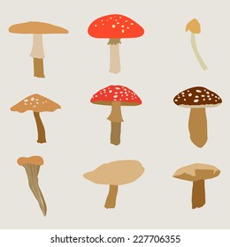 Mushroom vector icons set