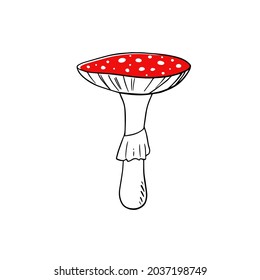 Mushroom vector iillustration isolated on white background. Amanita Muscaria (fly agaric) hand drawn sign. Magic mushroom symbol