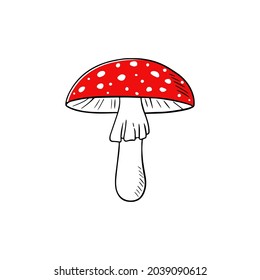 Mushroom vector iillustration isolated on white background. Amanita Muscaria (fly agaric) hand drawn sign. Magic mushroom symbol