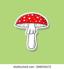Mushroom vector iillustration isolated on green background. Amanita Muscaria (fly agaric) hand drawn sticker with white stroke. Magic mushroom symbol