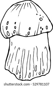 Mushroom vector illustration