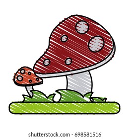 mushroom vector illustration