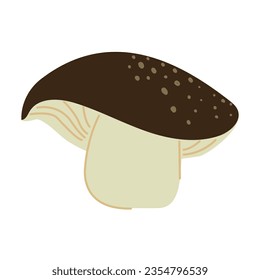 Mushroom vector illustration. Autumn harvest, mushroom isolated on white background. Nutrition, health, diet concept. Cozy autumn concept, illustration in flat style.