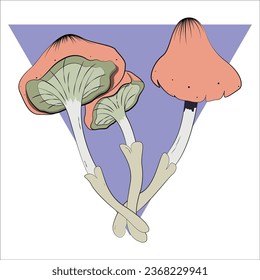mushroom vector illustration with blue triangle background. health mushroom, poisonous mushroom. god for icon. editing object, etc.