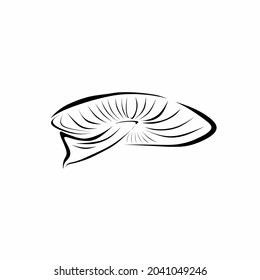 mushroom vector illustration, can be used for logos or other illustrations.