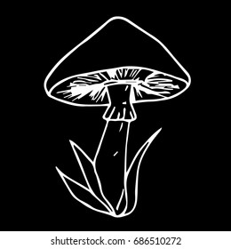Mushroom vector illustration. Doodle style. Design icon, print, logo, poster, symbol, decor, textile, paper, card. 