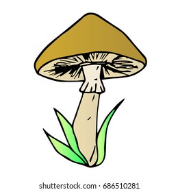 Mushroom vector illustration. Doodle style. Design icon, print, logo, poster, symbol, decor, textile, paper, card. 