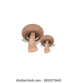 Mushroom vector illustration, mushroom flat icon, isolated on white background