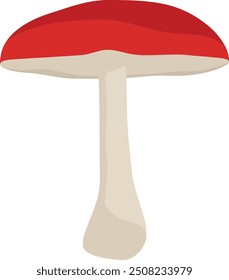 Mushroom Vector Illustration. Fungi Kingdom. Biology