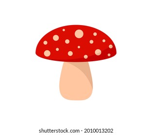 mushroom vector illustration isolated on white background