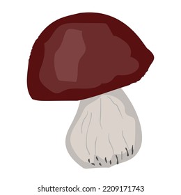 Mushroom vector illustration isolated on white. White mushroom Cartoon style for design menus, recipes and packages product. Healthy eating illustration.