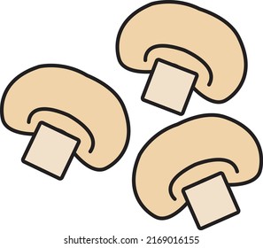 Mushroom vector illustration. Line outline color icon for web app. Minimalist style ingridient.