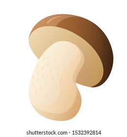 Mushroom vector illustration. Illustration on white background. Cartoon style.