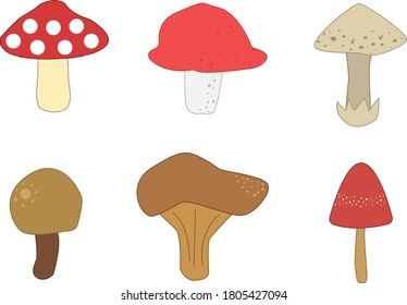 Mushroom Vector Illustration Set 1