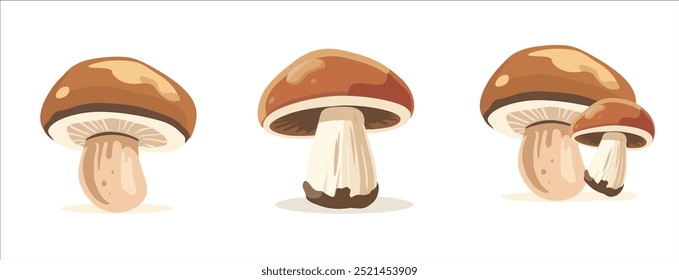 Mushroom Vector Illustration in Simple Cartoon Style, Flat Design