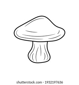 mushroom vector illustration, simple hand drawn vegetable Line Icon 
