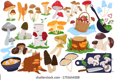 Mushroom vector illustrations. Cartoon flat set with forest farm edible or poisonous fungi mushroom, fresh boletus oyster, fungus morel, sliced champignon for cooking healthy food isolated on white