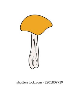 Mushroom vector illustrations isolated on white. White mushroom, Cartoon style, autumn forest.