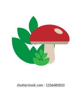 Mushroom vector image