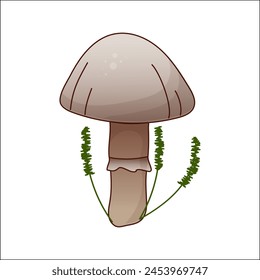 Mushroom vector isolated illustration. Toadstool in cartoon. Plants, botanists, not edible mushroom. Design element for theme forest mushrooms, menu, ingredients, recipes, organic products, etc.