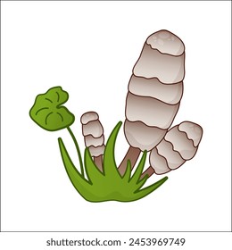 Mushroom vector isolated illustration. Toadstool in cartoon. Plants, botanists, not edible mushroom. Design element for theme forest mushrooms, menu, ingredients, recipes, organic products, etc.