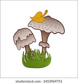 Mushroom vector isolated illustration. Toadstool in cartoon. Plants, botanists, not edible mushroom. Design element for theme forest mushrooms, menu, ingredients, recipes, organic products, etc.