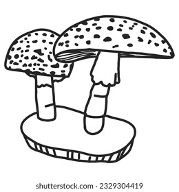 Línea vectorial de hongos art. 3. línea vectorial aislada