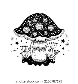 Pilzvektor. Magische Illustration der Fliege agaric. Umrisszeichnung der Himmelswälder. Pilze- oder Toilettenklammer-Grafik. Mystische schwarze Umrisse fliegen agarisch. Doodle mystic amanita, boho style