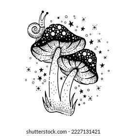 Mushroom vector. Magic illustration of fly agaric. Celestial forest outline drawing. Mushroom toadstool clipart graphic. Mystical black outline psychedelic tattoo. Doodle boho mystic amanita with slug