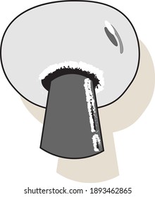 Mushroom Vector Png, Vector, PSD, and Clipart With Transparent Background
