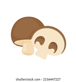 Mushroom vector. raw materials for cooking