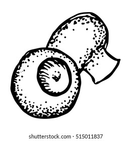Mushroom vector scetch. Engraving illustration of champignons isolated on white background