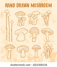 mushroom vector set