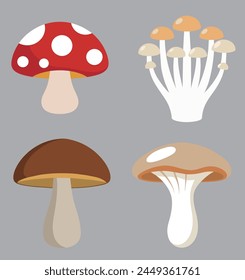 Mushroom vector set. Different types of mushrooms. Vector illustration