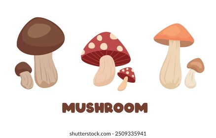 Mushroom vector set. Fungi, cep, scaber stalk, porcini, boletus mushroom clipart. Vegetable clipart. Forest element. Autumn element. Flat vector in cartoon style isolated on white background.