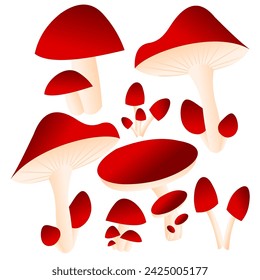 Mushroom vector, set of mushroom, mushroom watercolor
