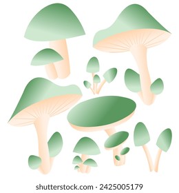 Mushroom vector, set of mushroom, mushroom watercolor