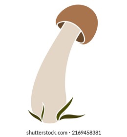 Mushroom vector simple illustration isolated on white background. Coloured hand drawn version. Vector mycology. Natural healthy fungus, autumn design.
