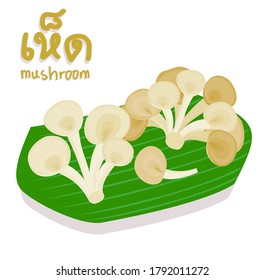 Mushroom vector in Thai Language it mean “Mushroom”