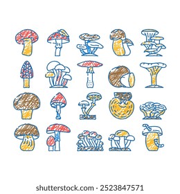 cogumelo vegetal e fungo doodle ícones definir vetor. esboço linha arte shitake e porcini, morel e toadstool, fungo e amanita cogumelo delicioso natural e vitaminas champignon ilustrações de cor