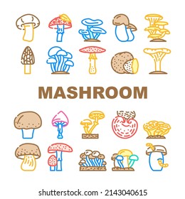 Mushroom Vegetable And Fungus Icons Set Vector. Shitake And Porcini, Morel And Toadstool, Fungi And Amanita Mushroom. Delicious Natural And Vitamin Champignon And Truffle Color Illustrations