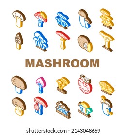 Mushroom Vegetable And Fungus Icons Set Vector. Shitake And Porcini, Morel And Toadstool, Fungi Amanita Mushroom. Delicious Natural Vitamin Champignon And Truffle Isometric Sign Color Illustrations